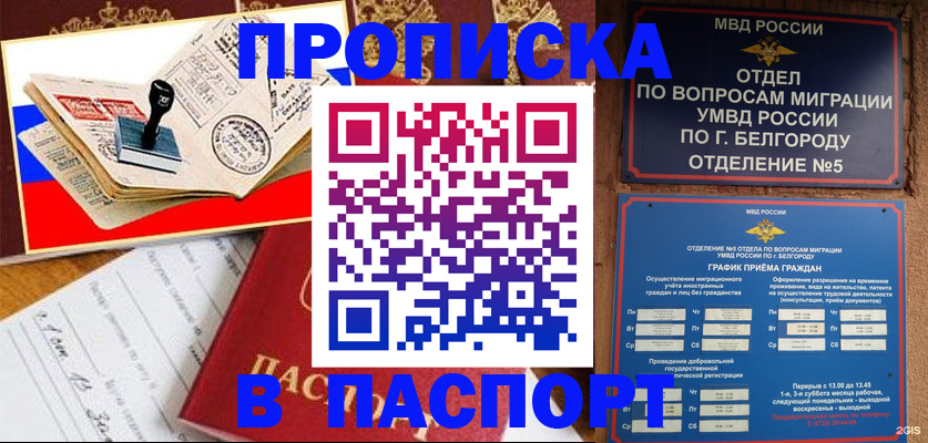 купить прописку в Королёве